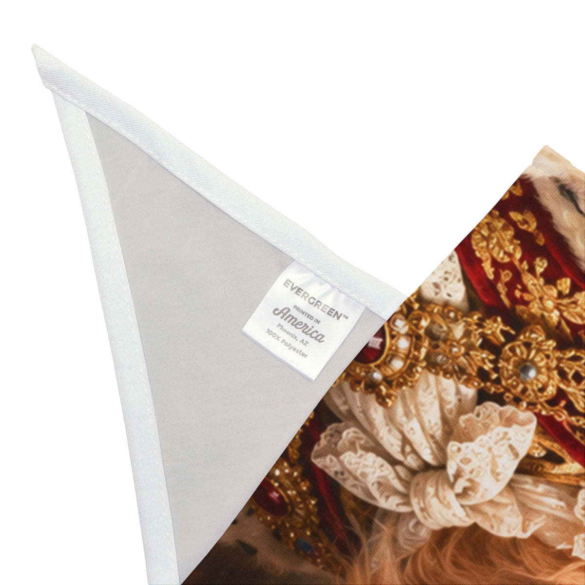 Portrait Pet Bandana — Paw & Wall