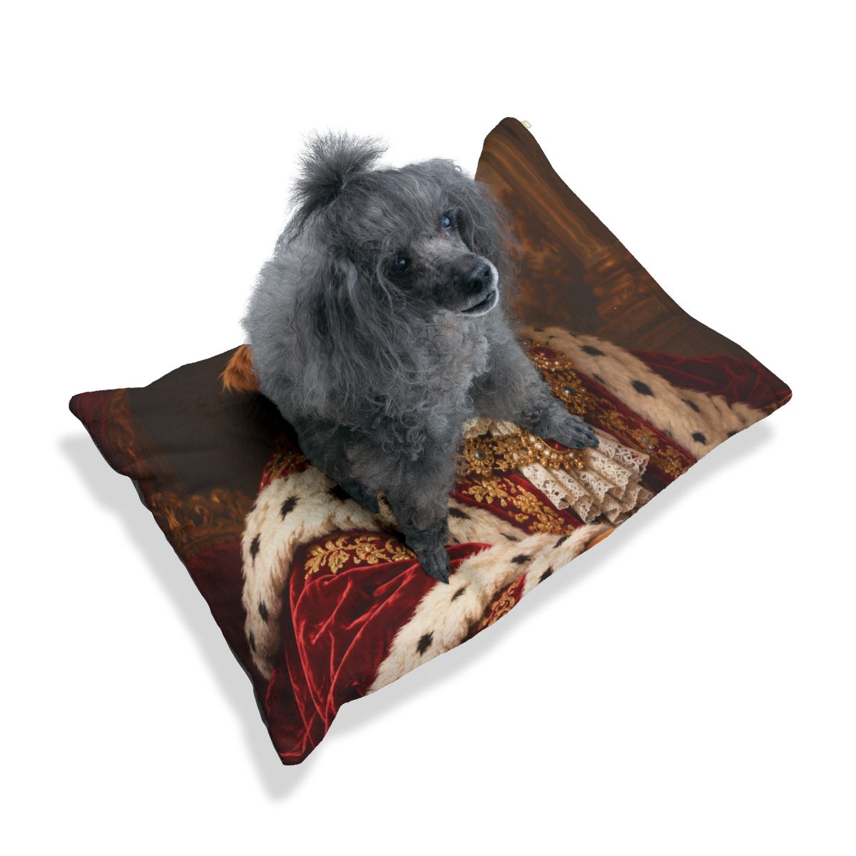 Portrait Pet Bed — Paw & Wall
